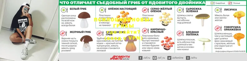 Галлюциногенные грибы ЛСД  где купить   Кочубеевское 